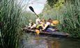 Group of women kayaking