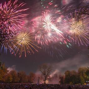 Abbey Park Bonfire & Firework Display - Festivals, See & Do in Leicester
