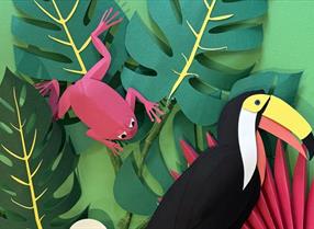 Collage of frog and toucan