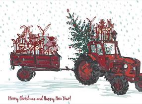 Thumbnail for Farmer Christmas experience on The Open Farm