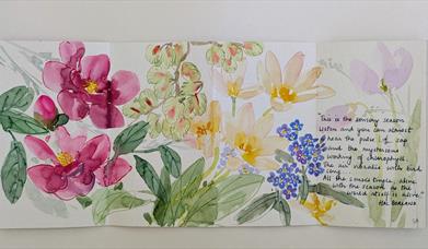 Illustrated page of garden journal