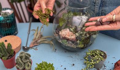 Terrarium workshop in progress