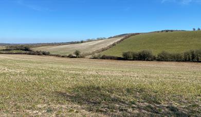 Downlands near Rodmell