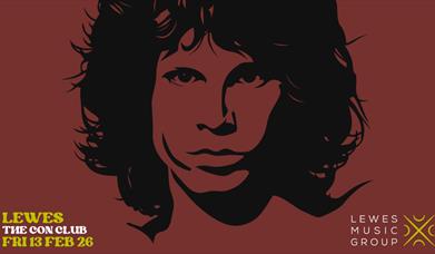 Visual based on The Doors album cover