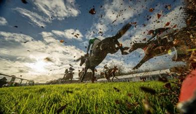 Mud flying as horses jump fence at Plumpton Races