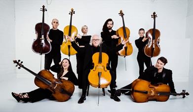 Members of The Massive Violins