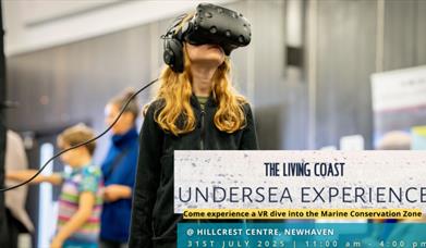 Experiencing the Living Coast Undersea Experience Headset