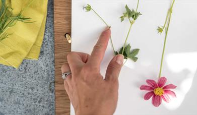 Flower pressing in progress