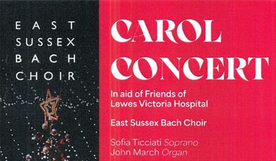 Event details with Christmas tree