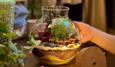 Rainforest terrarium with led light fitting