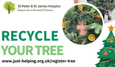 Recycling Christmas trees - poster with details