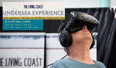 The Living Coast Undersea Experience: Lewes