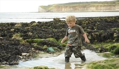 Rockpooling, Seaford