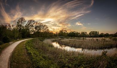 Railway Land Nature Reserve
