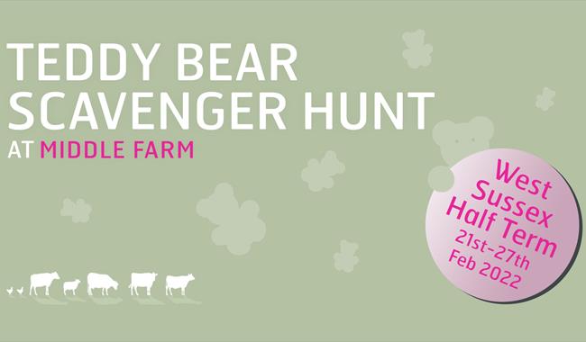 Teddy Bear Scavenger Hunt (West Sussex Half Term)