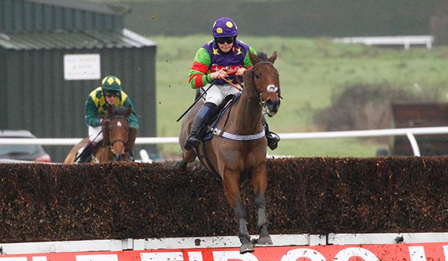 January Jumps Raceday