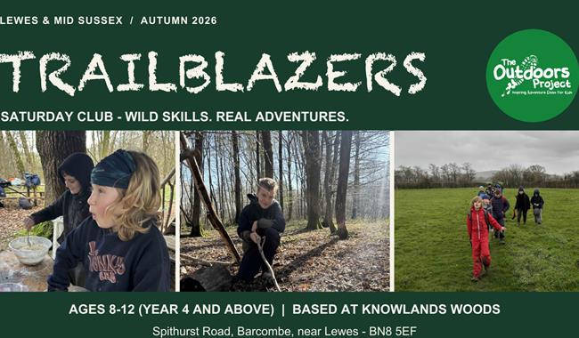 Photos of children enjoying woodland activities