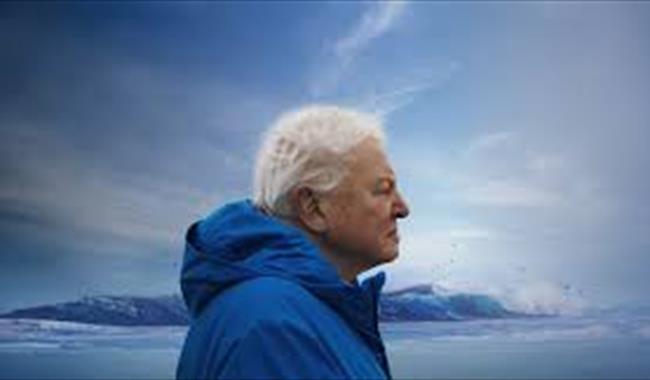 Sir David Attenborough in profile against an Arctic sky