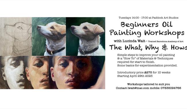 Step by step painting of a dog and a face