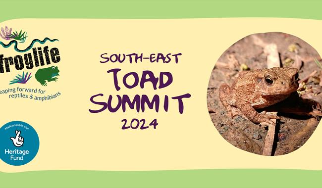 Photograph of a toad with details of event