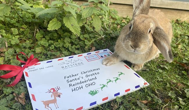 Christmas Trail