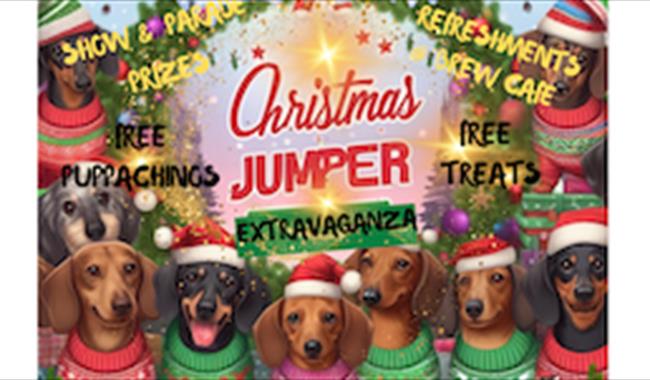 Sausage dogs in Christmas jumpers!