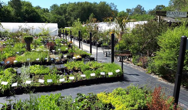 Garden centre in the sunshine