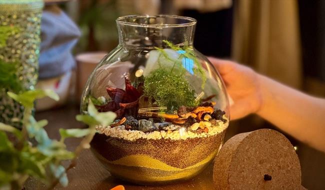 Tropical terrarium with light