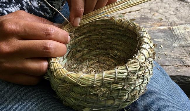 Wild Grass Basket Weaving