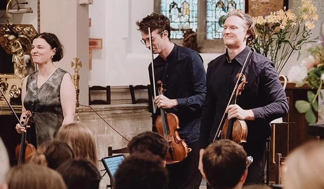 Musicians in concert setting