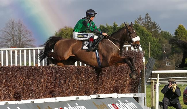 Racehorse jumping steeplechase fence with rainbow in the sky