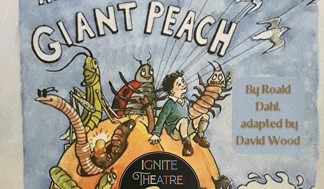 James and the giant peach poster