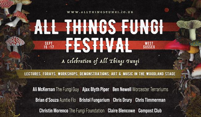 Poster for funghi event