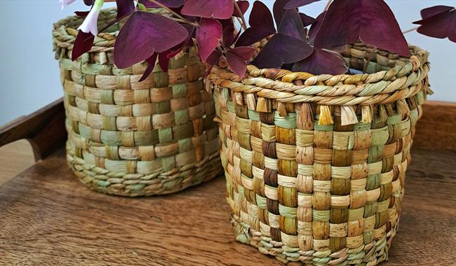 Woven plant pots