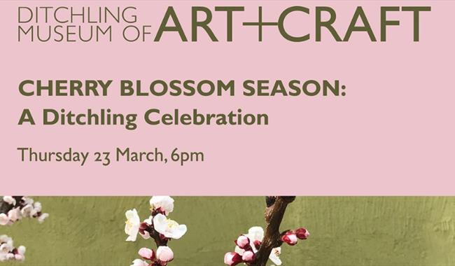 Cherry blossom in Ditchling