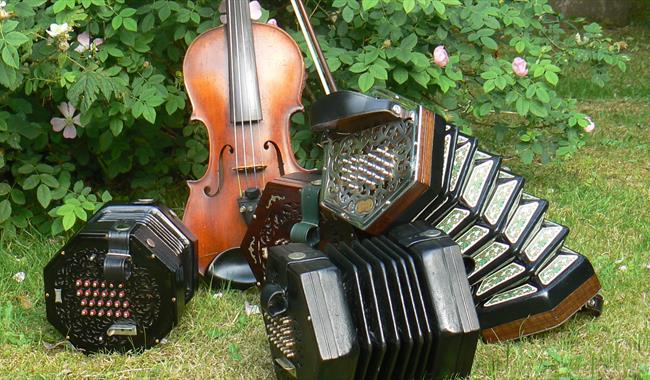 Musical instruments suitable for folk music