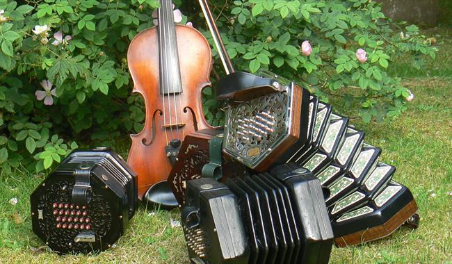 Musical instruments suitable for folk music.