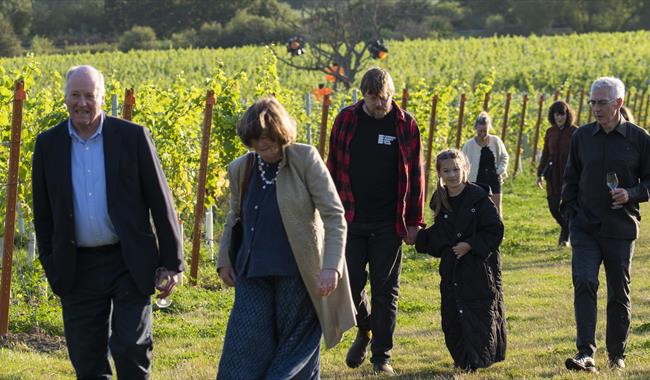 Walking through vineyards