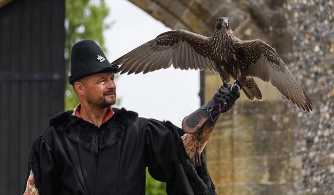 Man in Medieval dress with Hawk