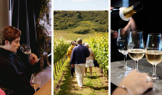 Series of photographs featuring sparkling wines and Sussex vineyards