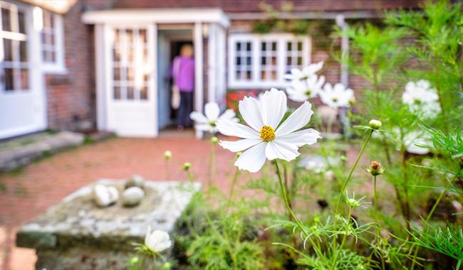 Garden scene at Farleys Farmhouse