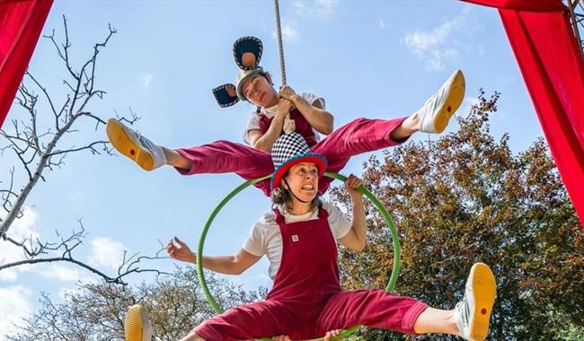 Aerial Circus