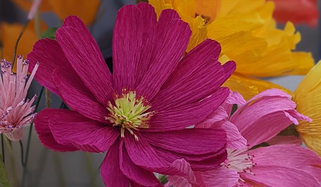 Paper flowers