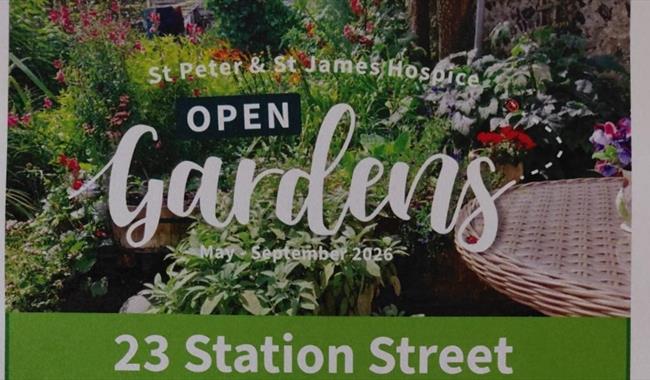 Photo of summer garden
