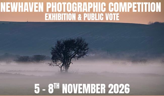 Atmospheric photo of the downs, a lone tree and ground mist