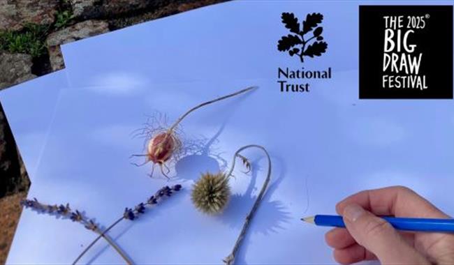 Sketching plant stems on National Trust Paper