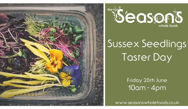 Container of seedlings with event details