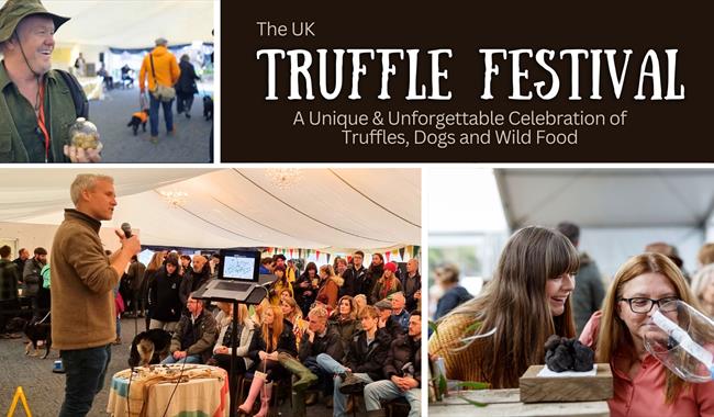 Truffle Festival poster
