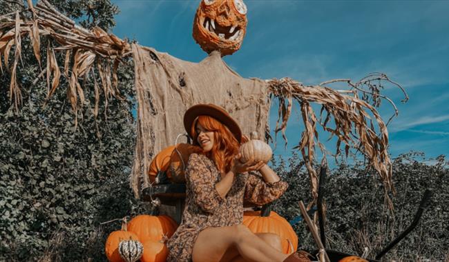 Pumpkin scarecrow with  pumpkins