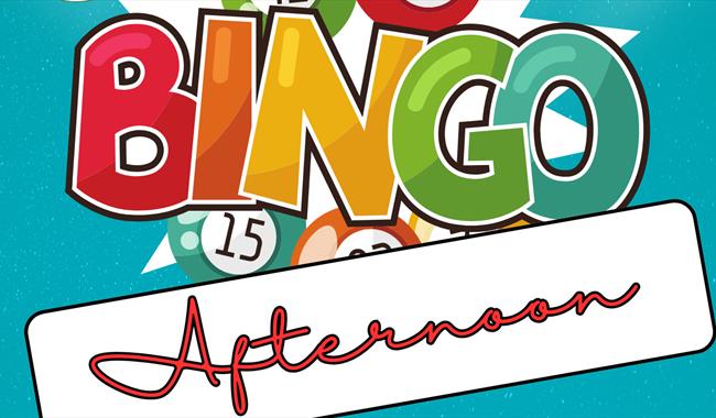 Bingo Afternoon poster sign